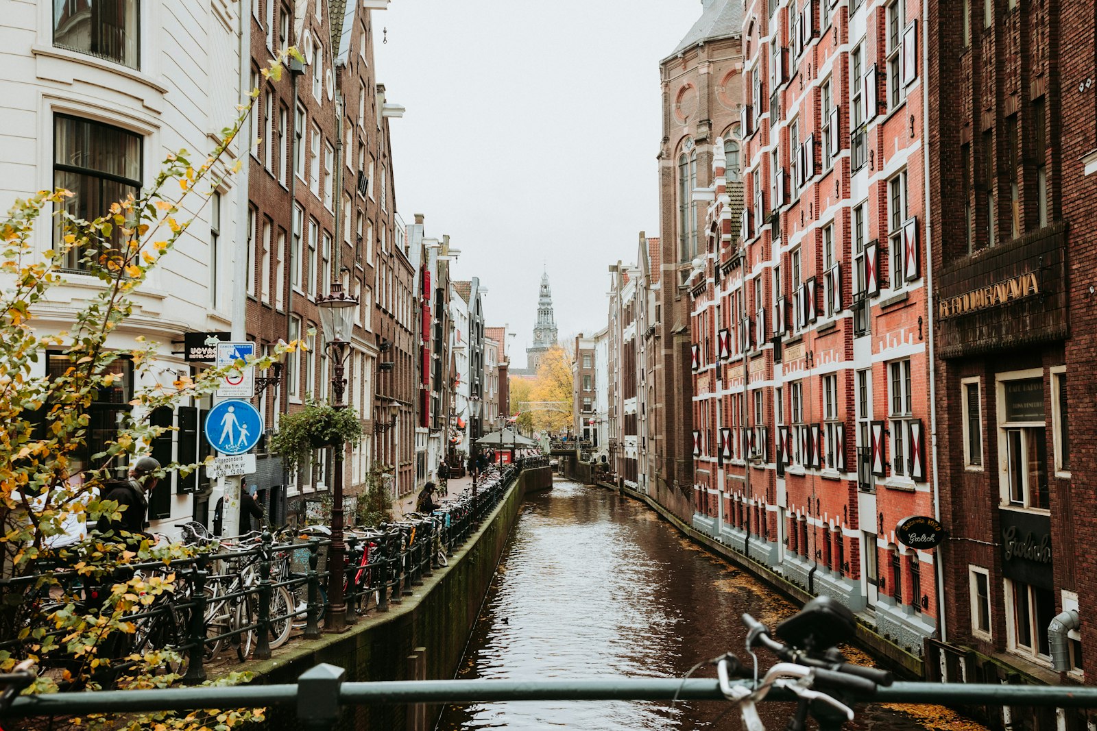 IPTV in the Netherlands: Unlimited Entertainment