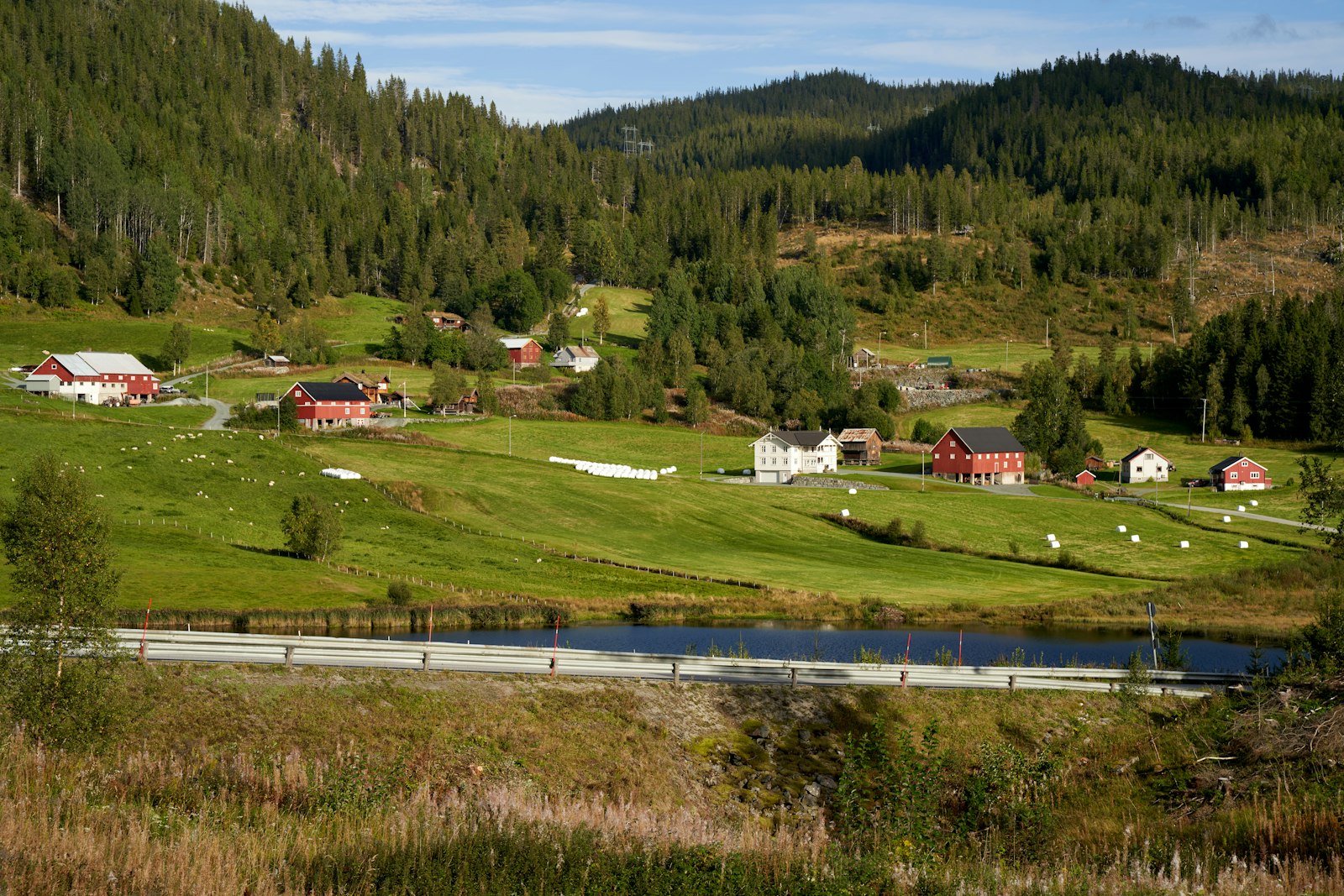 IPTV Trends in Norway: High-Speed Streaming in the North