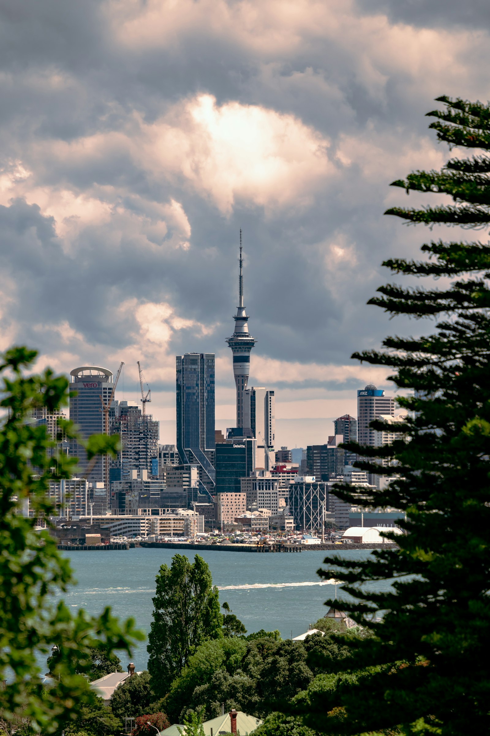 IPTV in New Zealand (2026): Setup Guide, Best Devices, and Streaming Tips